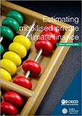 RC cover page "Brochure Estimating mobilised private climate finance"